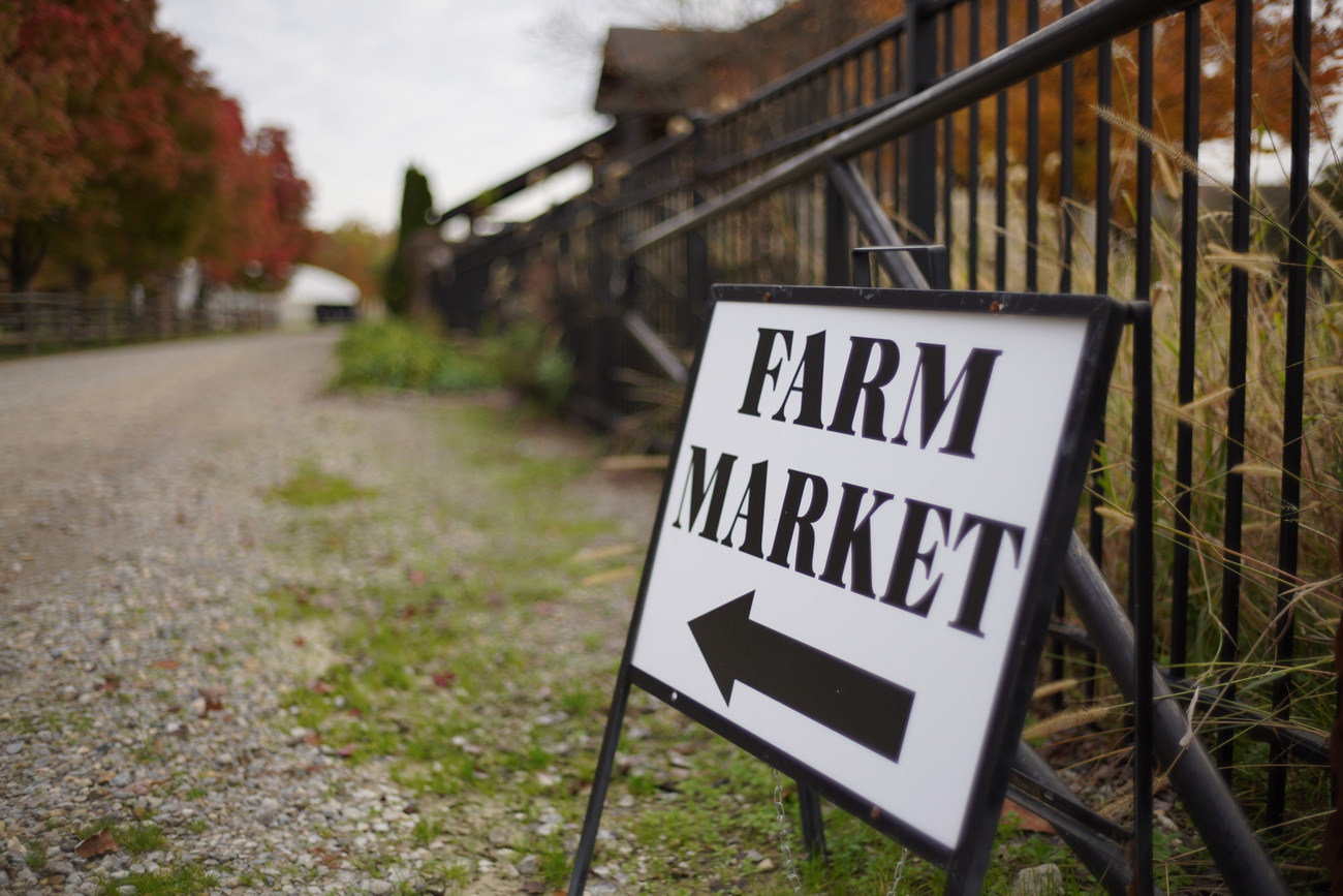 Farm market sign with an arrow, next to a gravel path lined with trees.