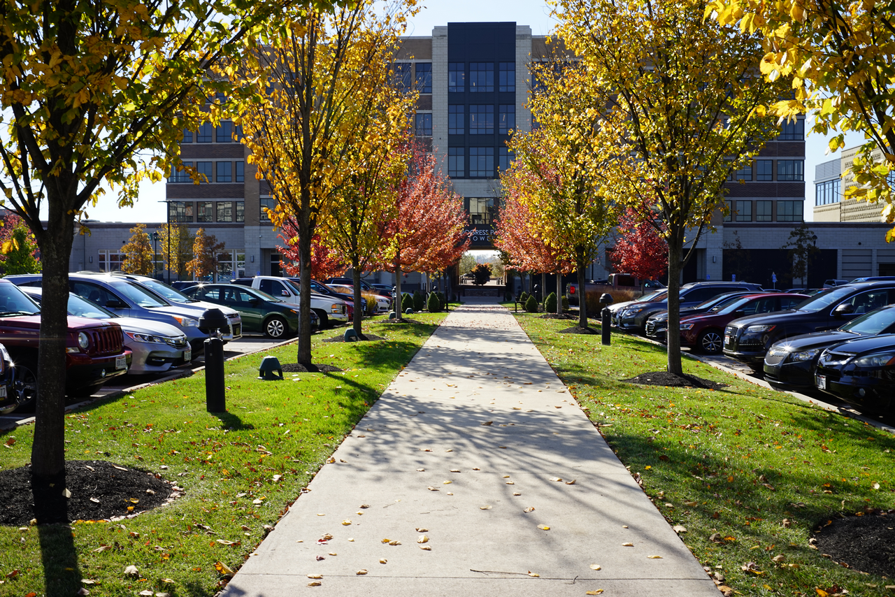 Pathway lined with colorful autumn trees leading to a tall building.