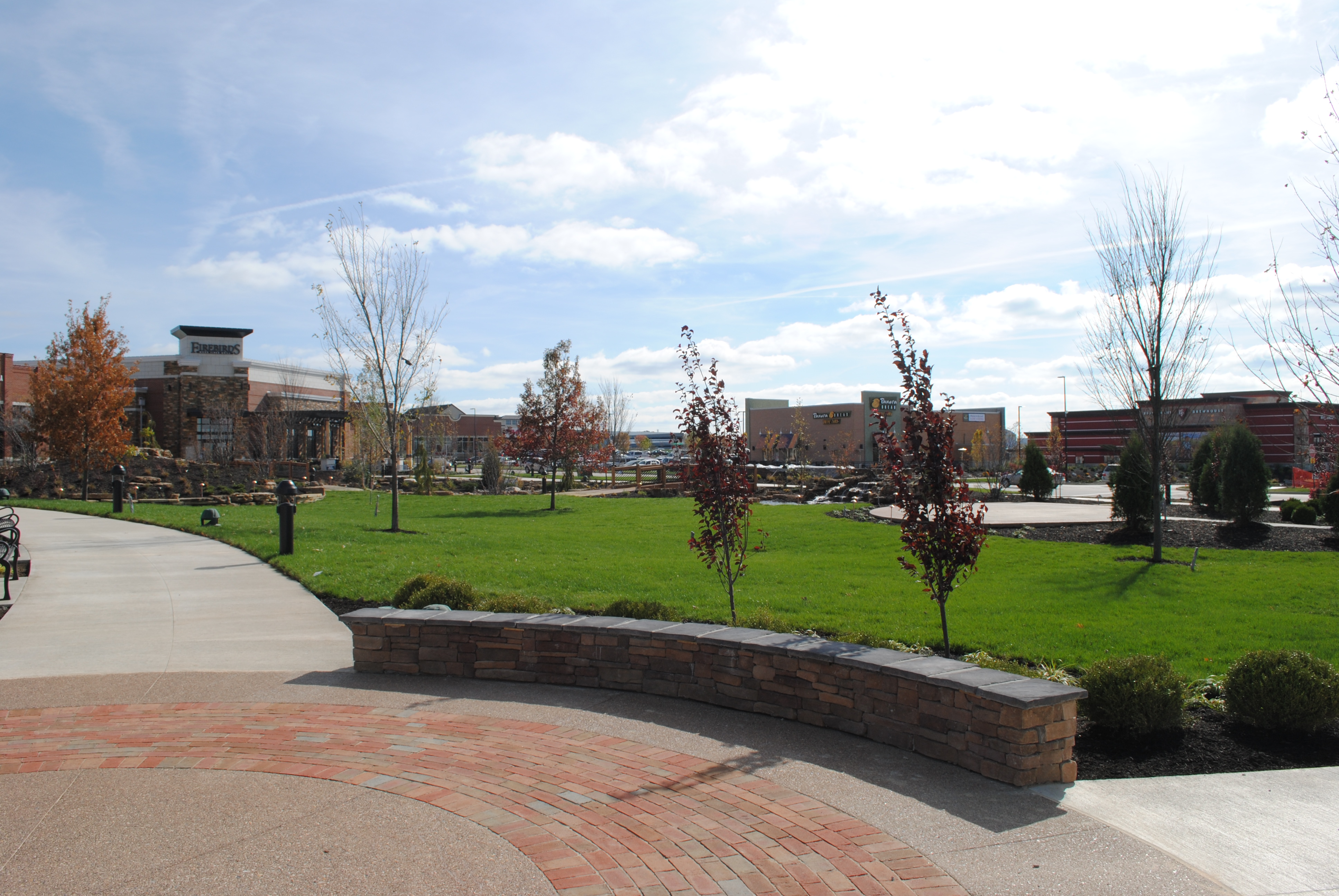 A sunny park with trees, grass, and nearby buildings.