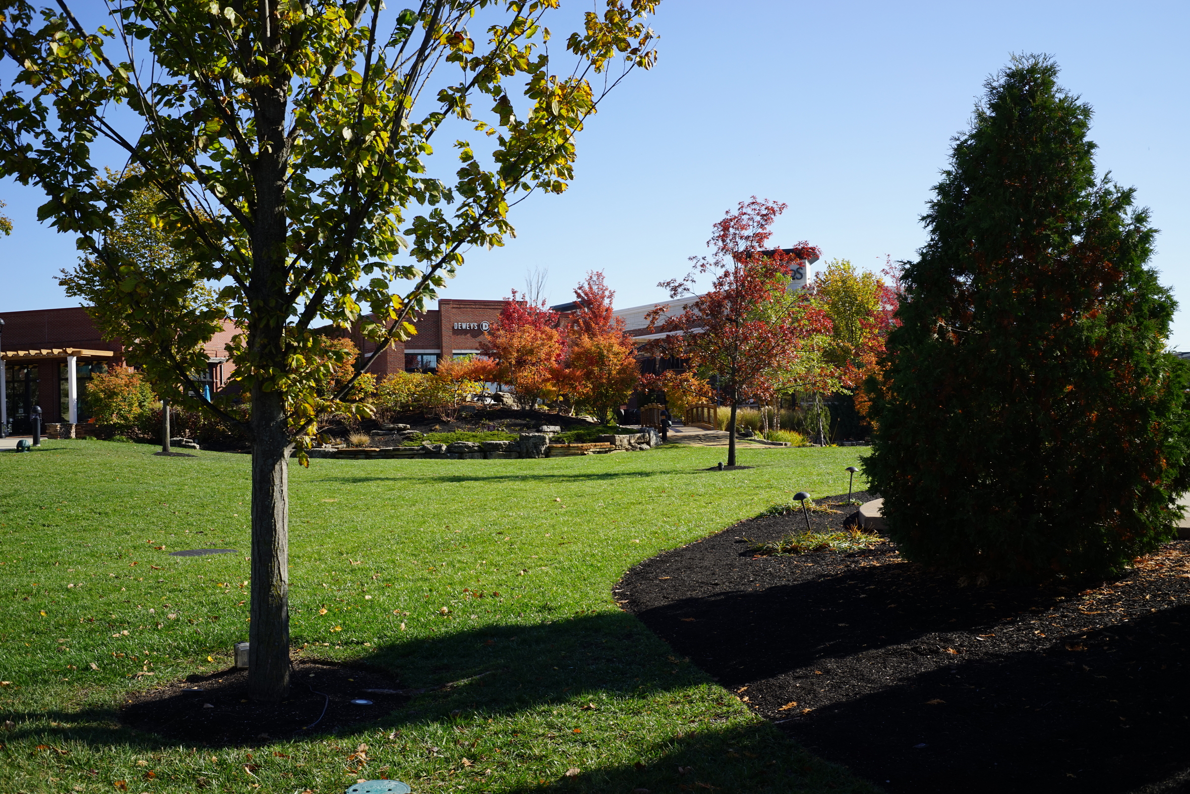 Sunny park with trees in autumn colors and a brick building in the background.