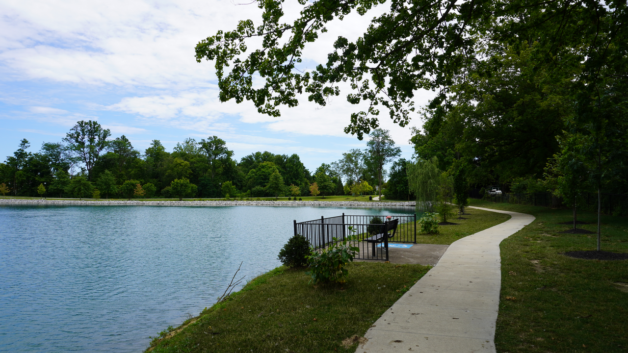 Pathway along a calm lake, green trees, and clear blue sky.