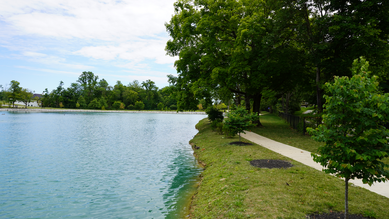 Pathway beside a serene lake, surrounded by lush green trees.