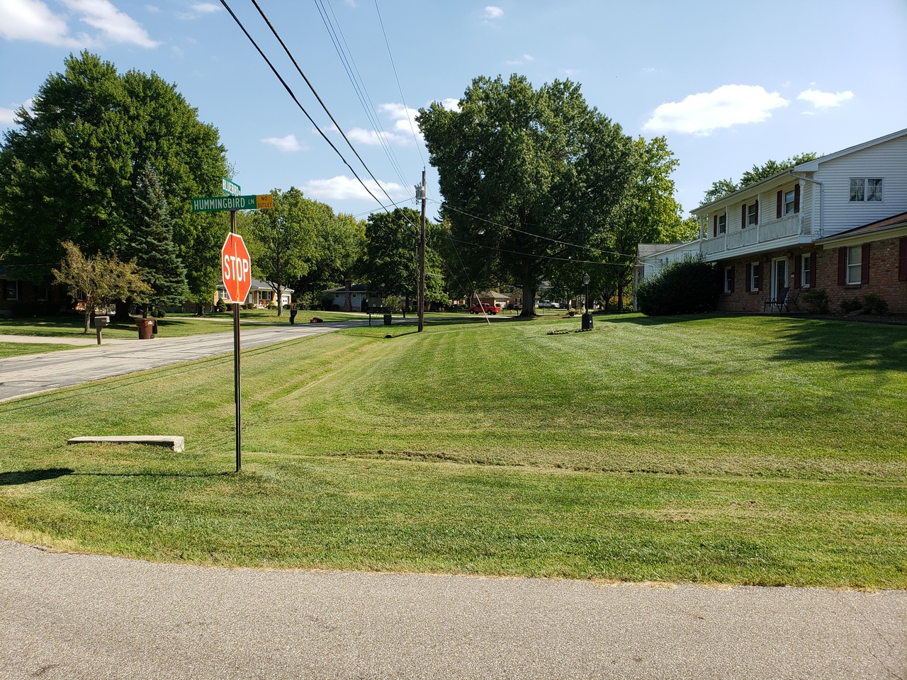 Suburban street with stop sign and green lawns.