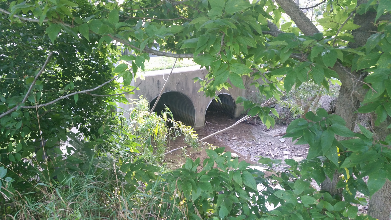Stone bridge over a creek, surrounded by lush green trees.