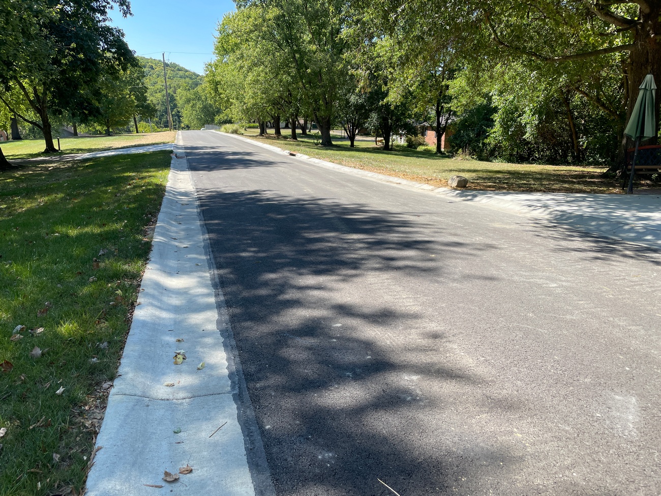 Sunny road lined with green trees on a clear day.