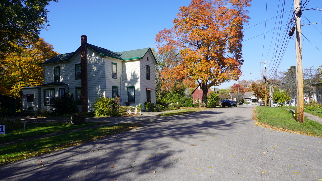 Quiet suburban street with houses and autumn trees.