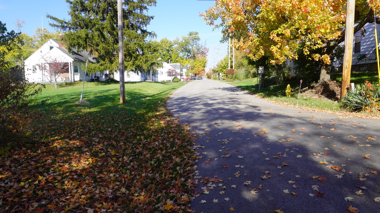 Quiet suburban street lined with autumn trees and houses.