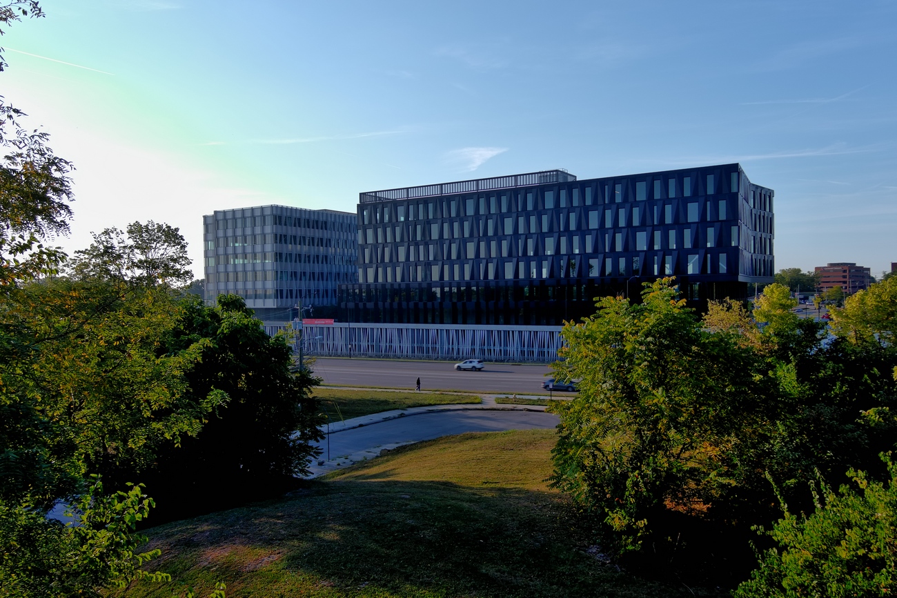Modern office buildings behind trees under a clear blue sky.