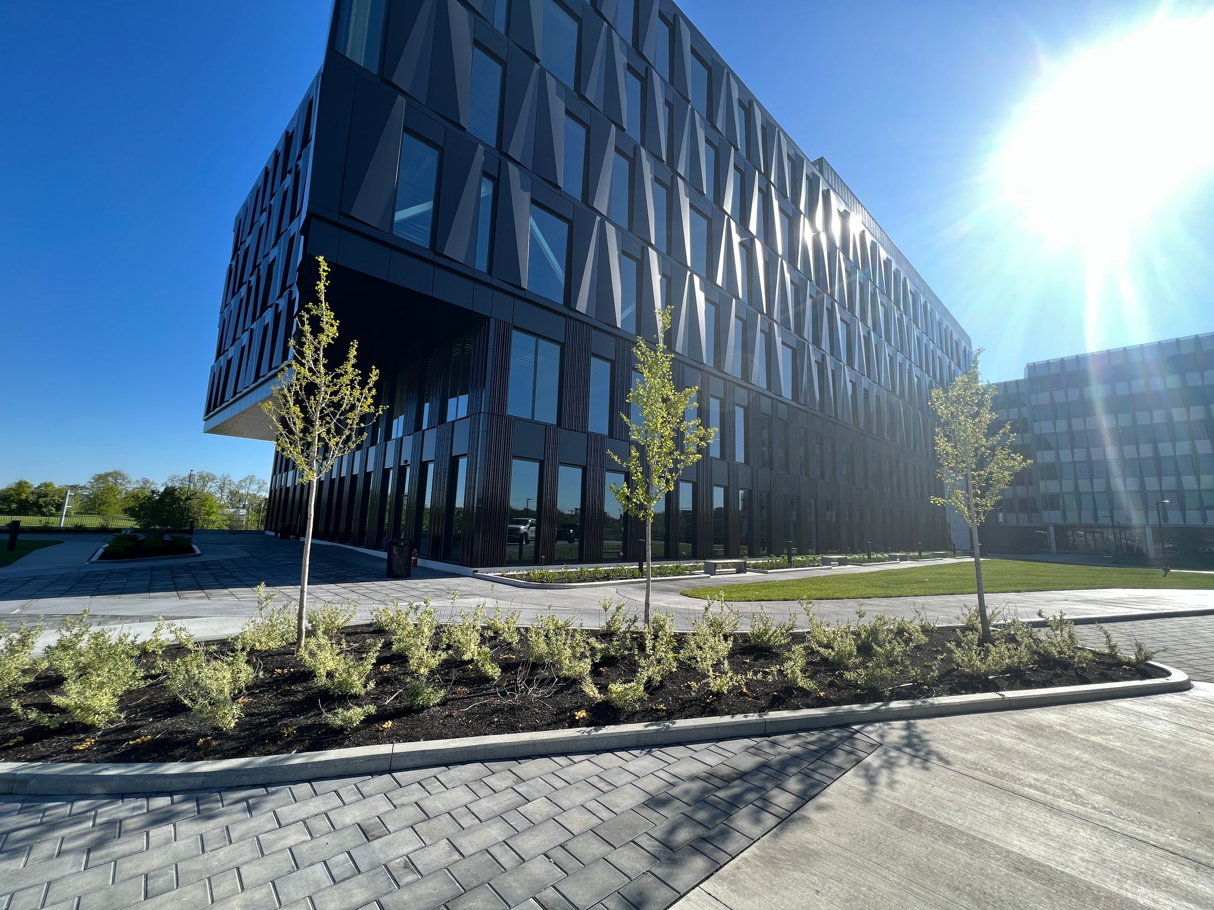 Modern building with geometric facade, surrounded by young trees, under a bright blue sky.