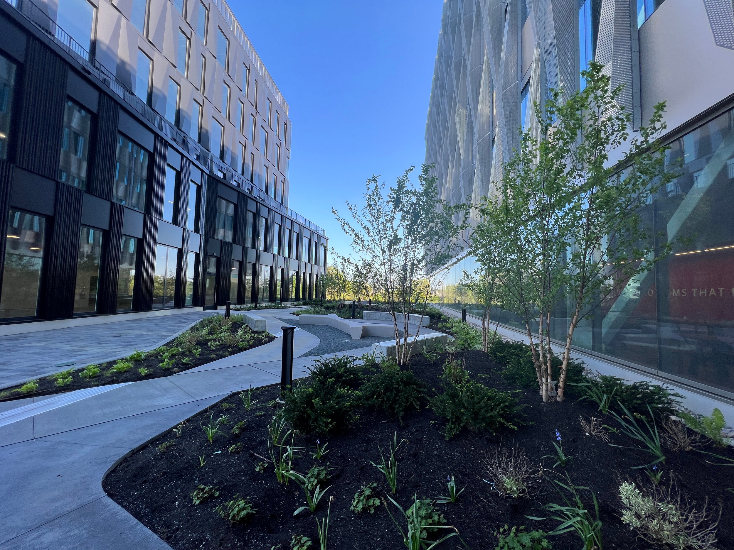 Modern buildings flank a landscaped courtyard under a clear blue sky.