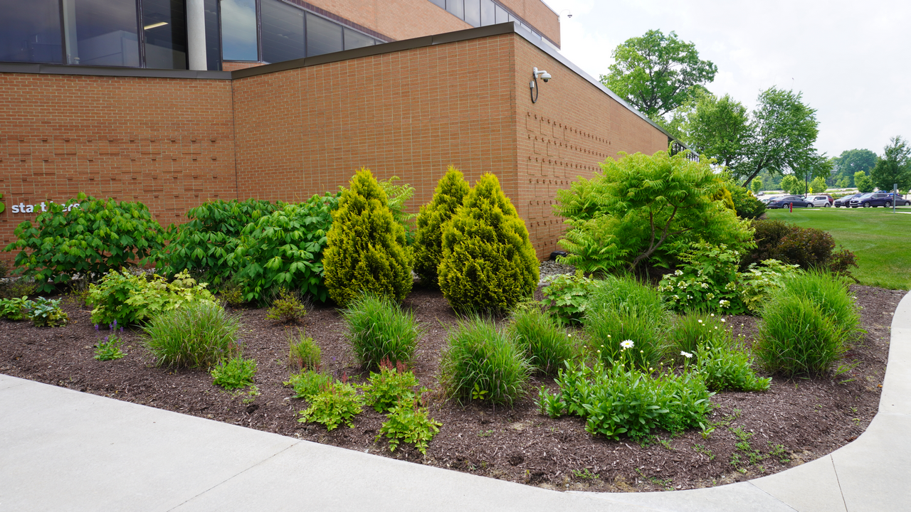 Landscaped garden with bushes and greenery by a brick building.