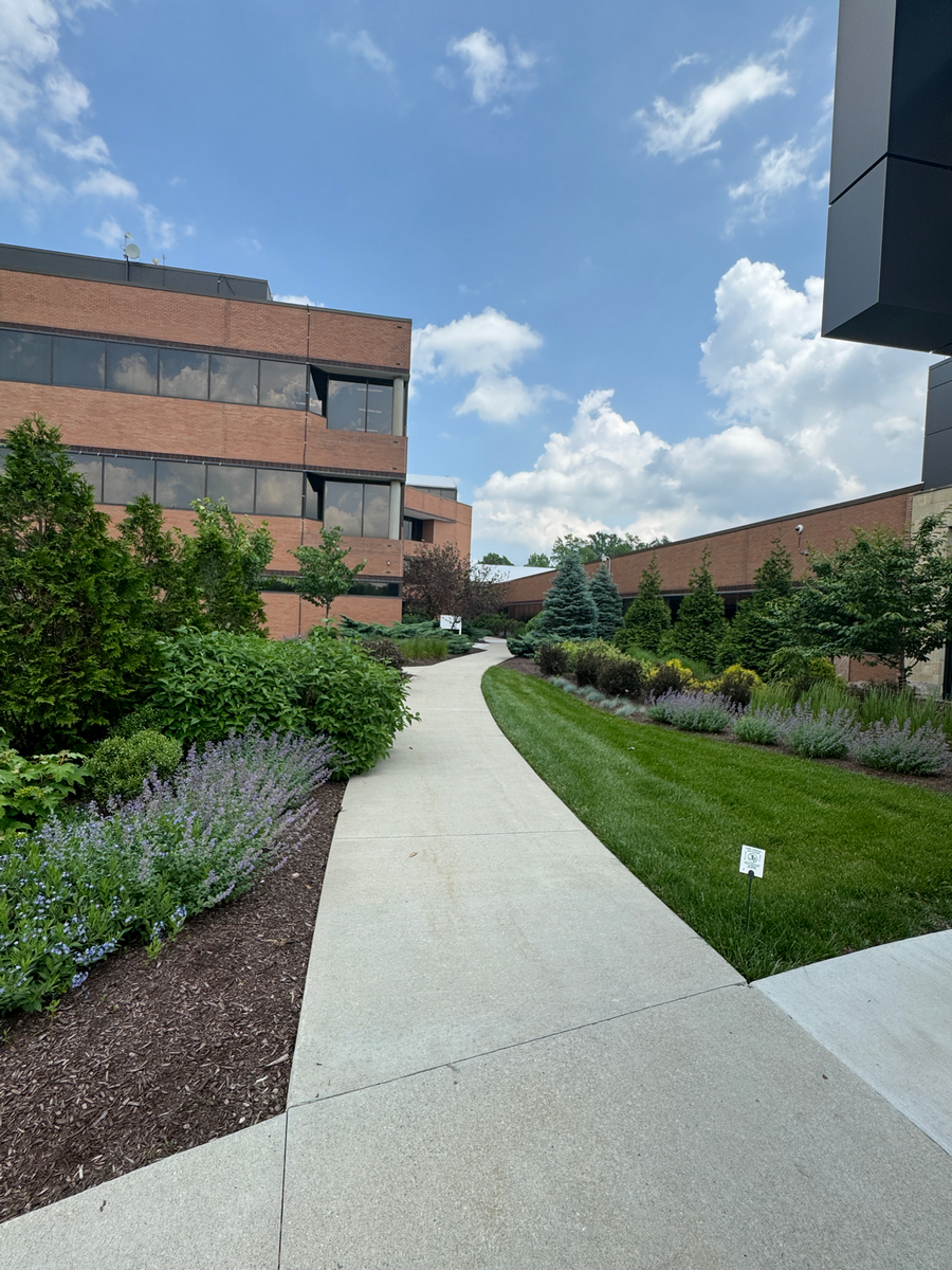 A landscaped path between office buildings under a blue sky.