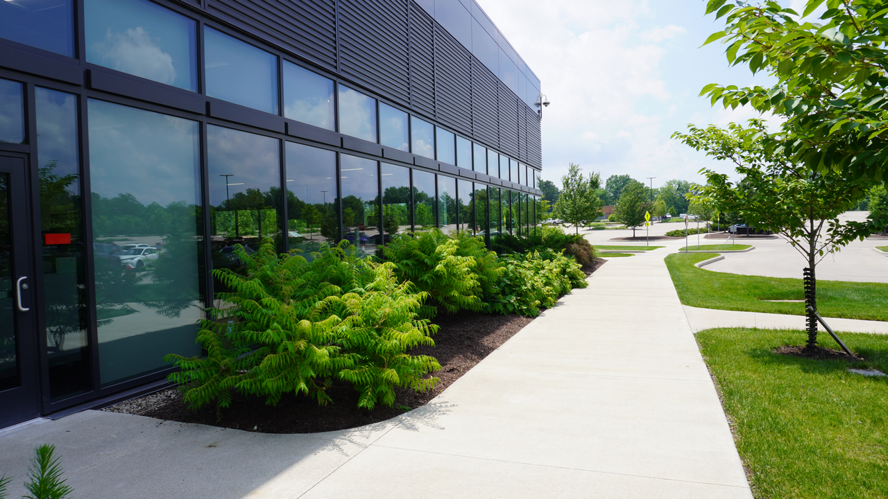 Modern building with glass windows, shrubs, and a sidewalk on a sunny day.