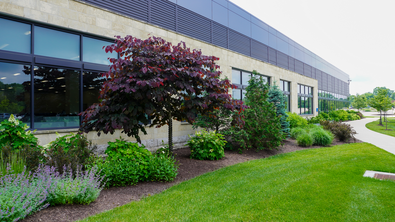 Landscaped garden outside a modern building with large windows.