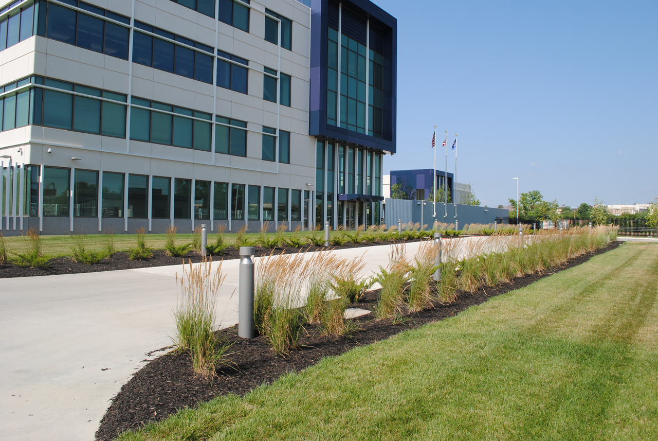 Modern office building with landscaped lawn and plants under clear blue sky.
