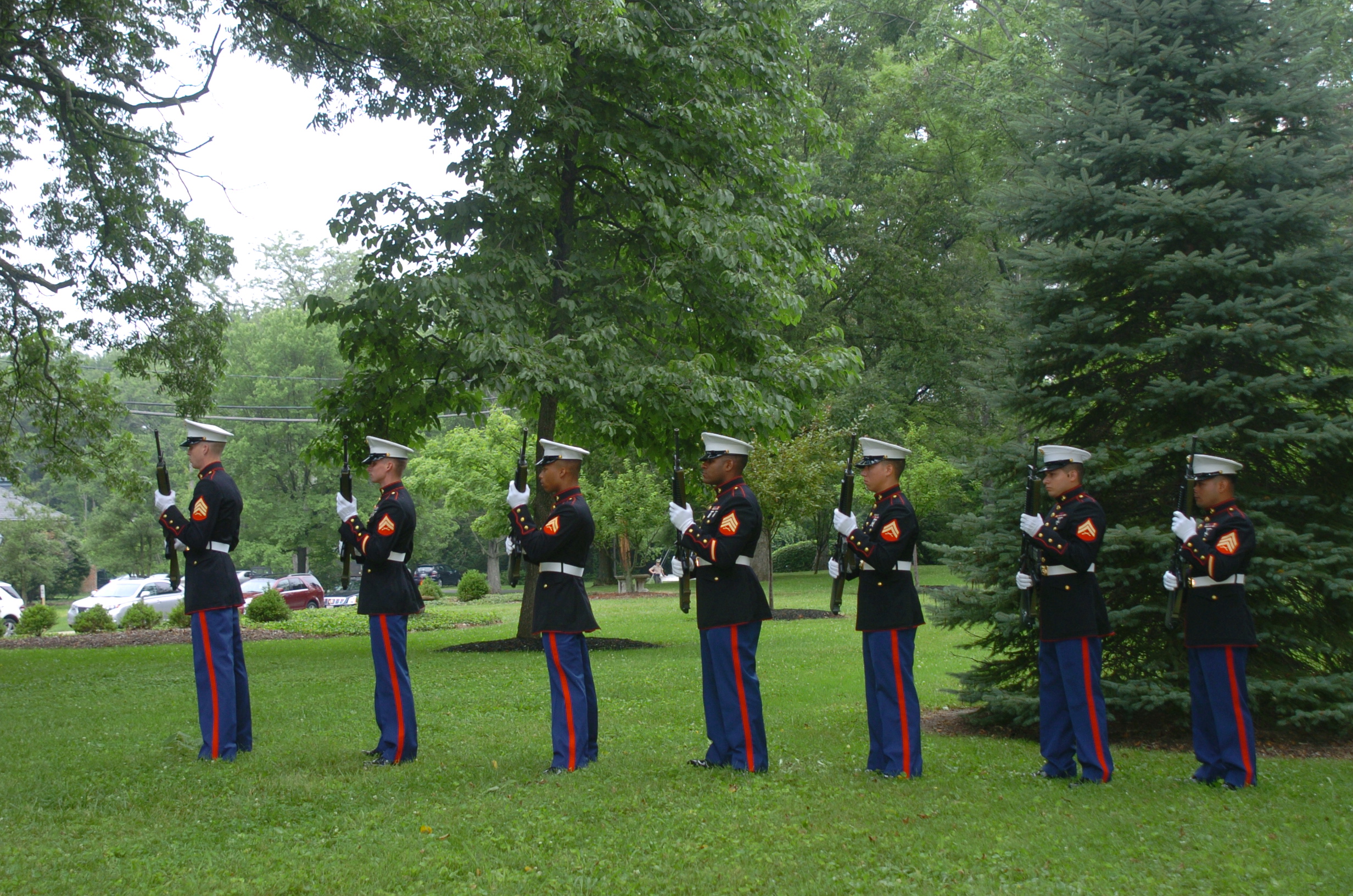 Seven uniformed soldiers stand in a row, saluting, amid greenery.