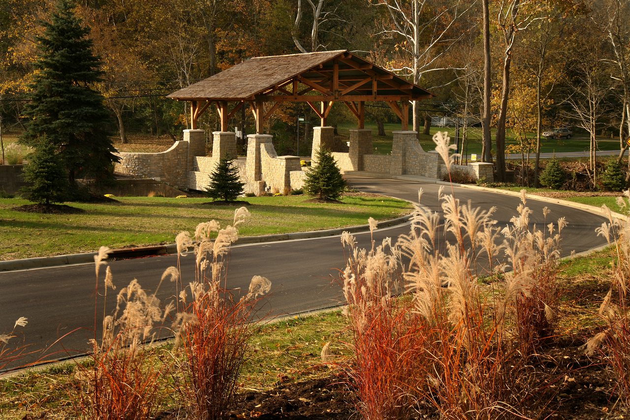 Wooden bridge in autumn park with tall grasses and trees.