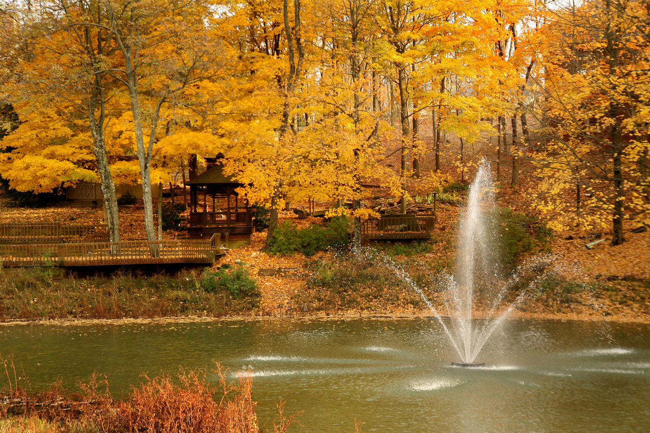 Autumn park scene with a pond fountain and yellow trees.