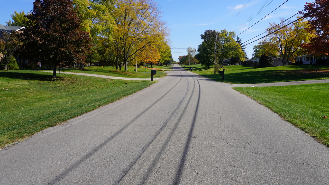 Tree-lined suburban street under a clear blue sky.