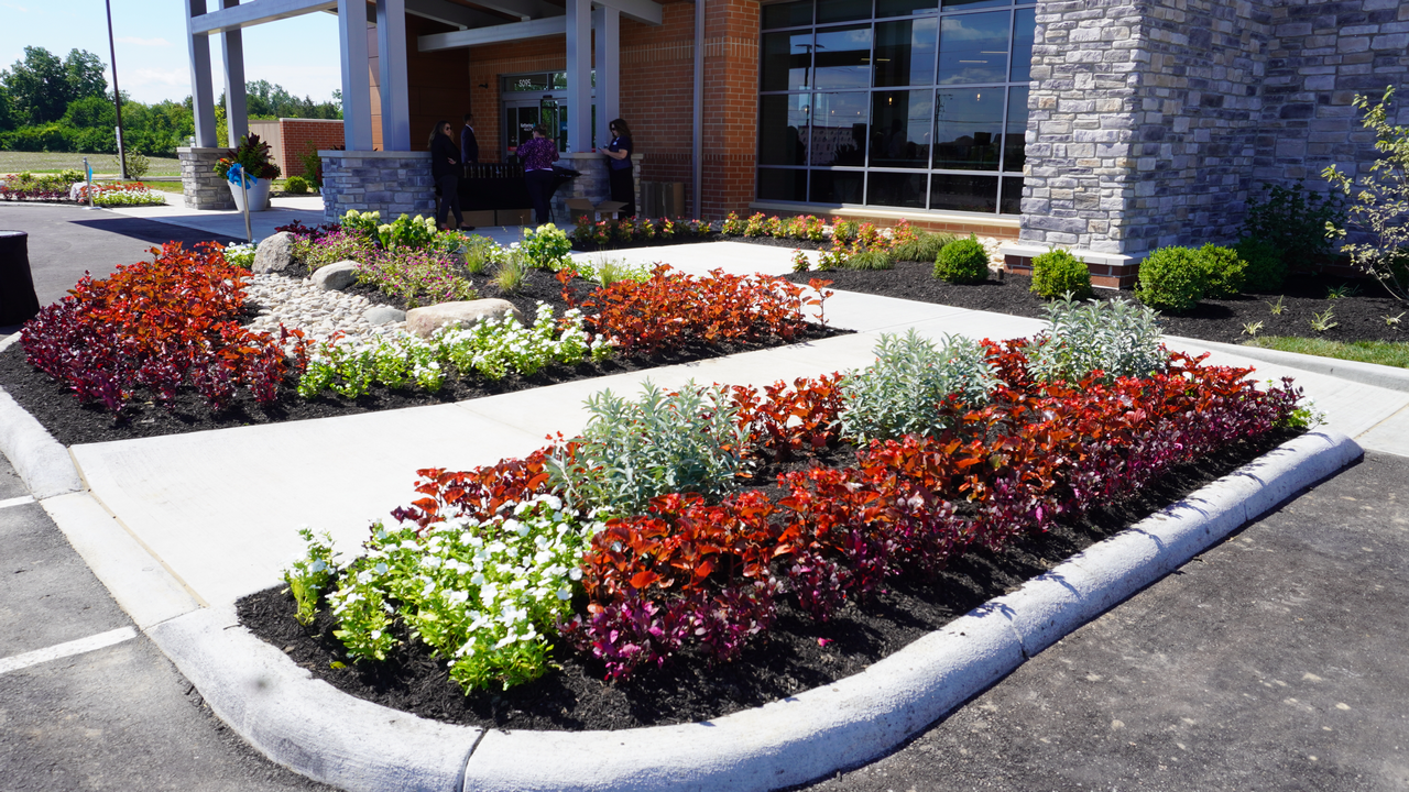 Colorful flower beds with red and white blooms outside a modern building.