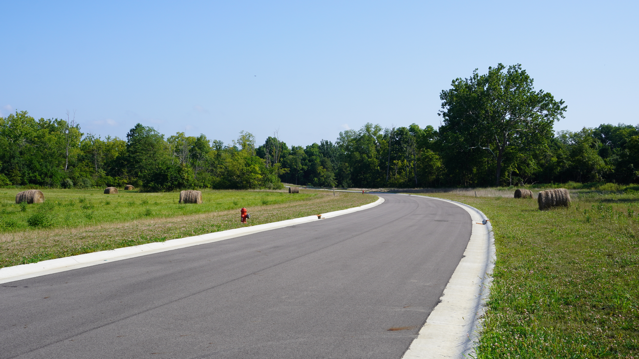 Curved road flanked by green field and trees under clear blue sky.