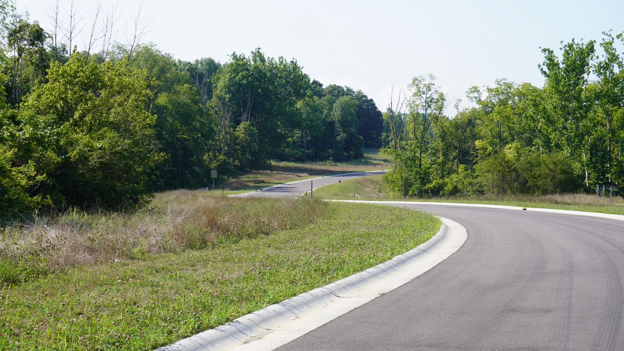 Curving road bordered by grass and trees under a clear sky.