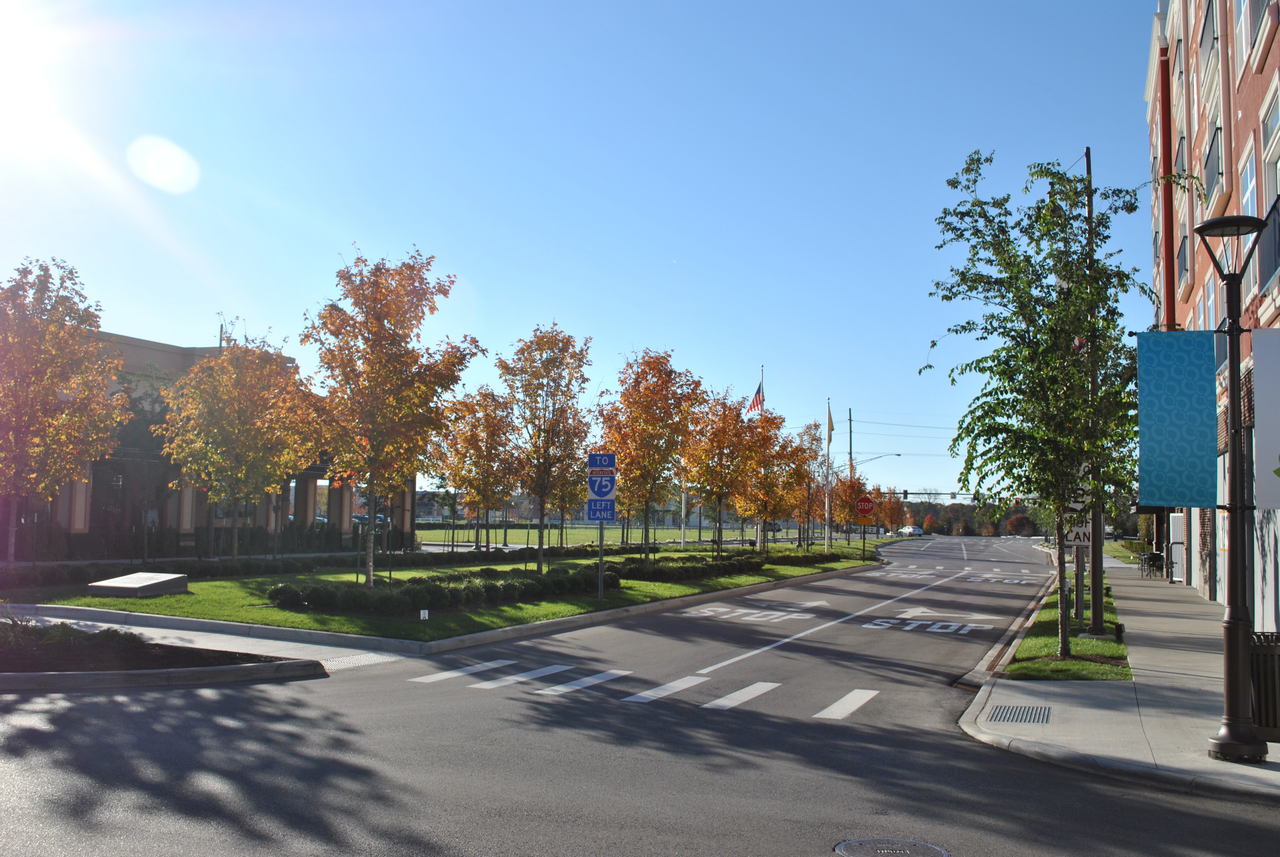 Street with autumn trees, bright sky, and empty crosswalks.