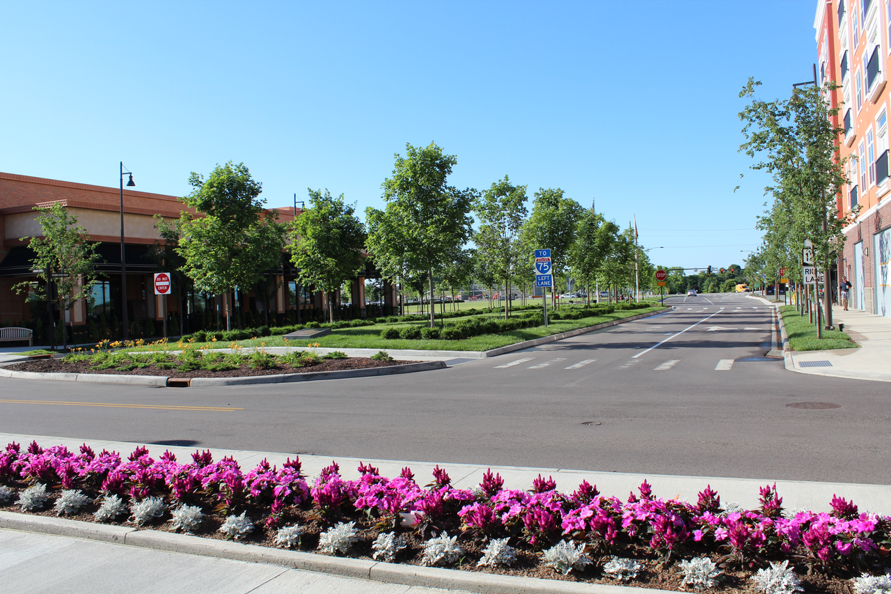 Street lined with purple flowers and trees under a clear blue sky.