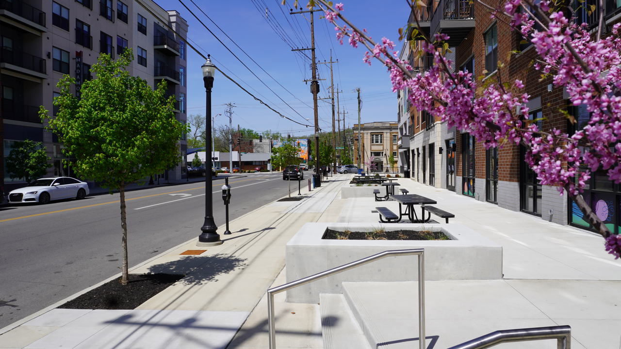 City street with flowering trees, benches, and modern buildings under a clear blue sky.