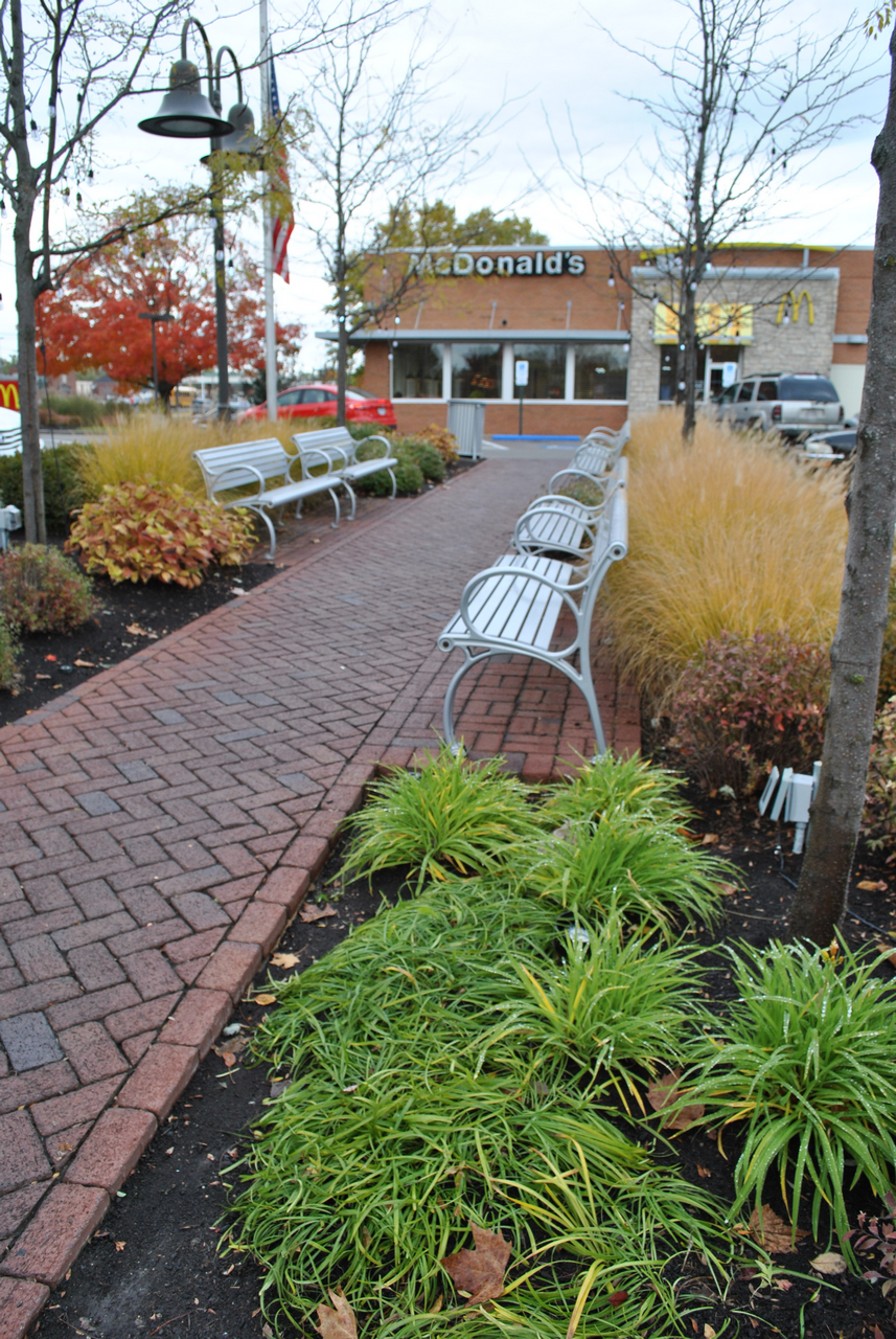 Brick path with benches, fall foliage, leads to a storefront.