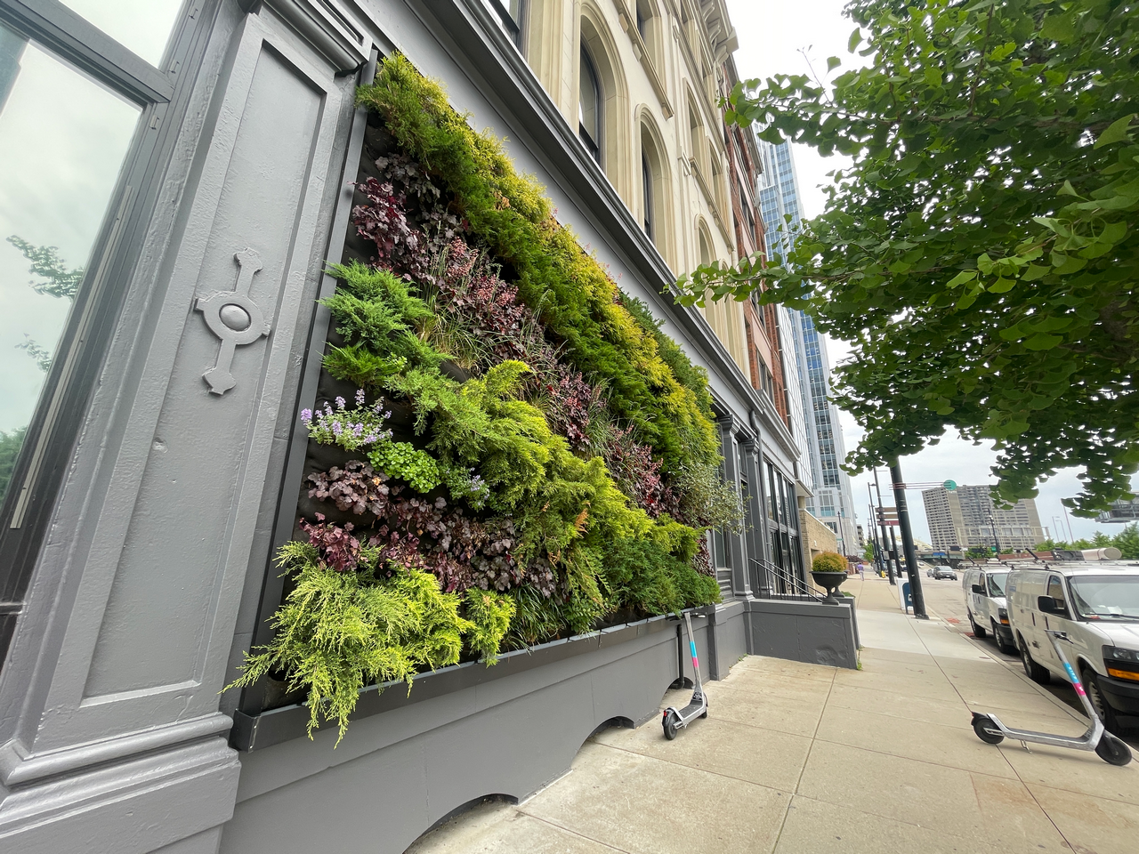 Vertical garden on city building facade with diverse greenery.