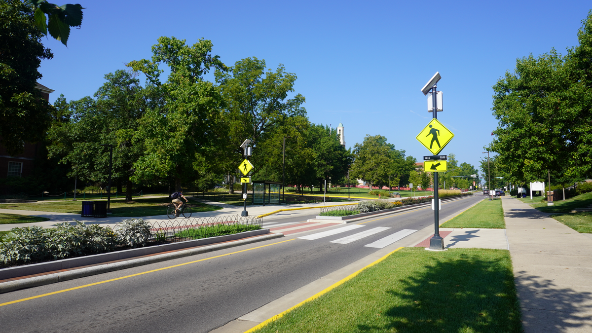 Sunny road with crosswalk, trees, and street signs on a clear day.