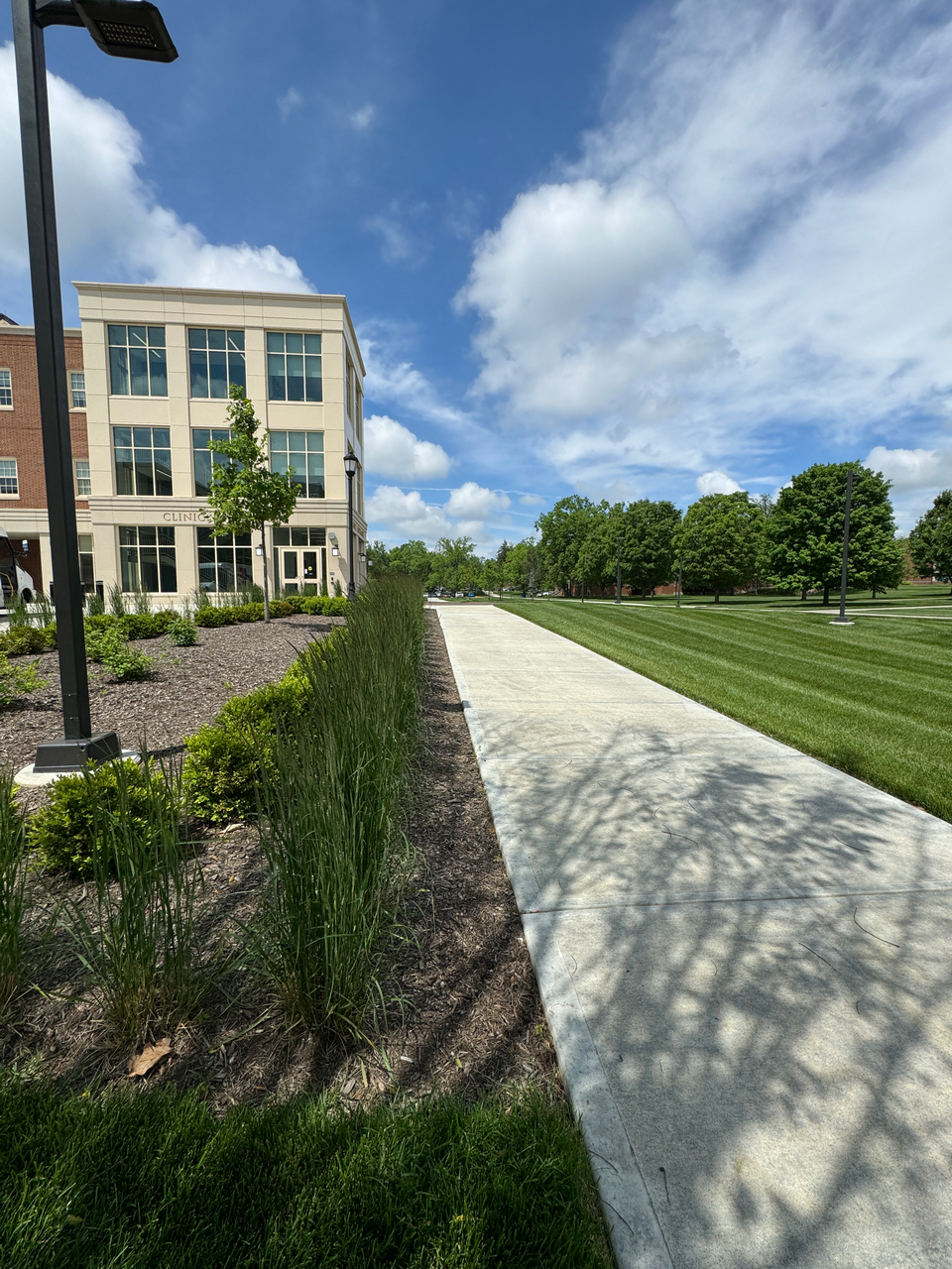 Concrete path with grass and trees beside a building under blue sky.