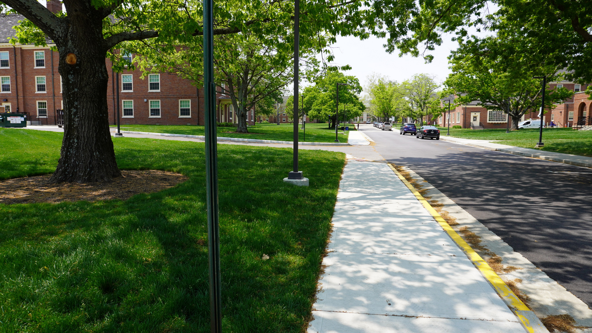 Tree-lined sidewalk beside a road on a sunny day.