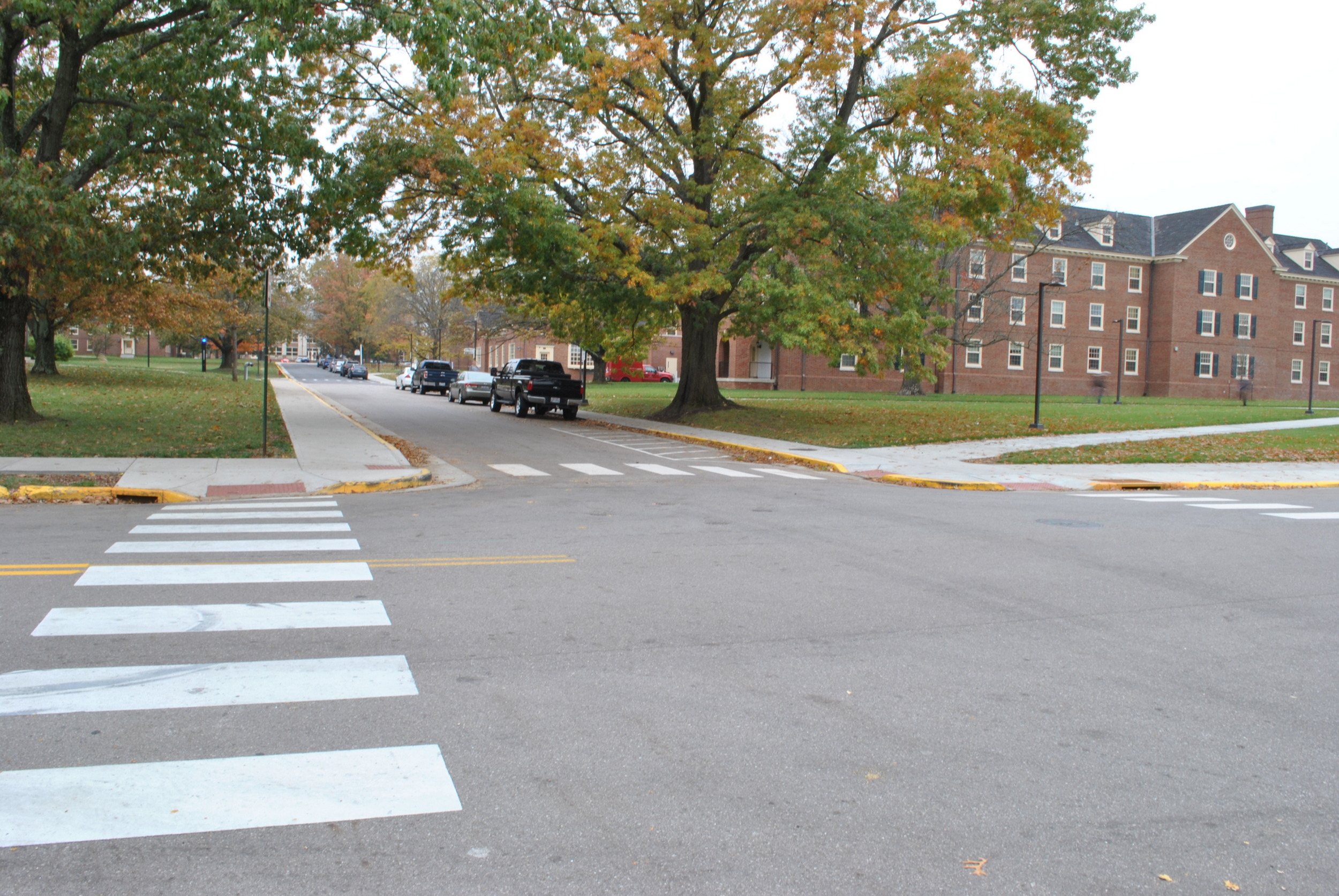 Crosswalk at tree-lined street near brick buildings.