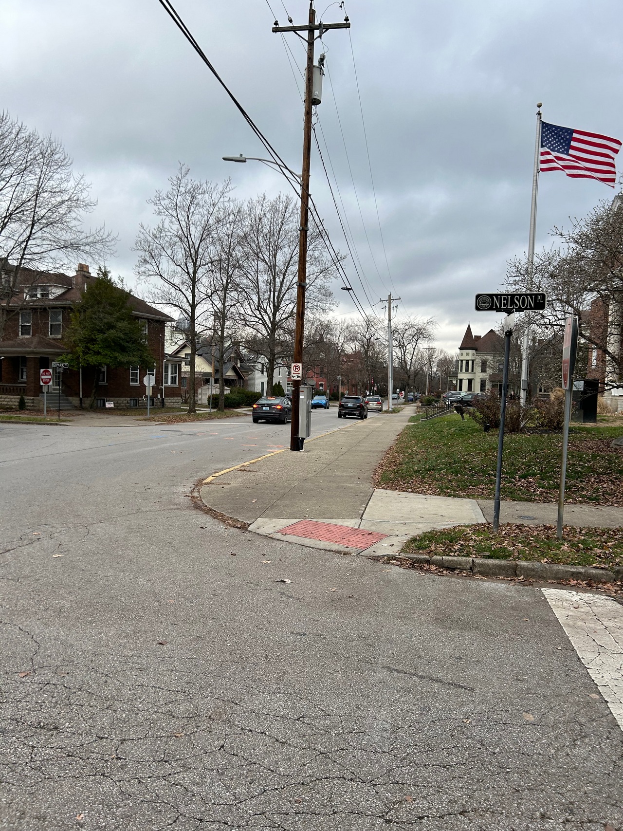 Overcast street corner with flag and bare trees.