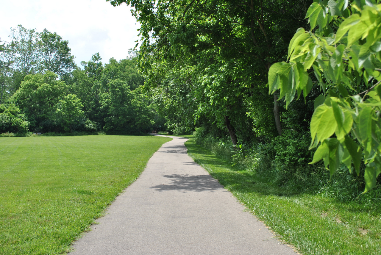 Paved path through a green park with trees and grass.