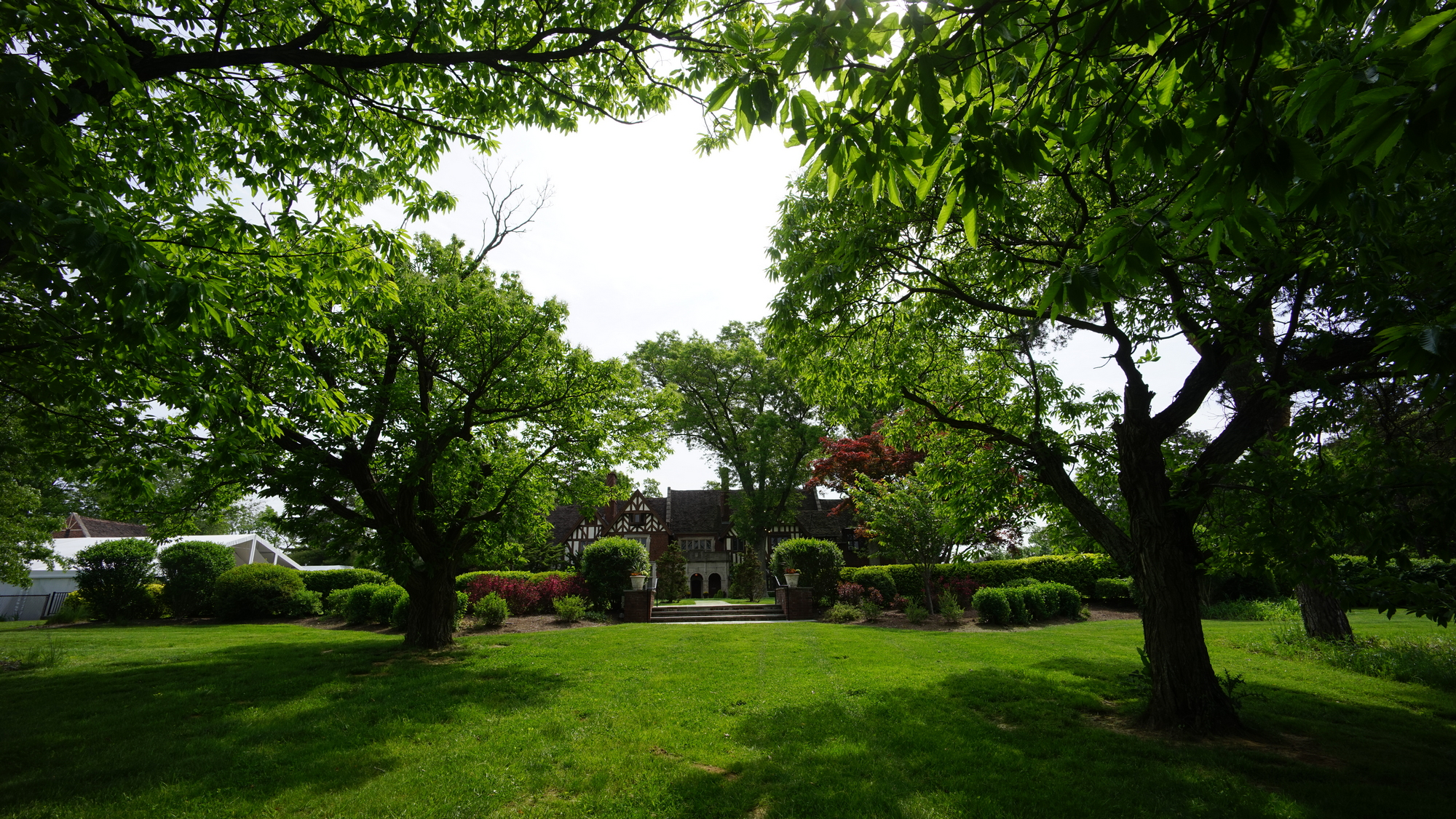 Lush garden with large trees and a distant house, under a bright sky.