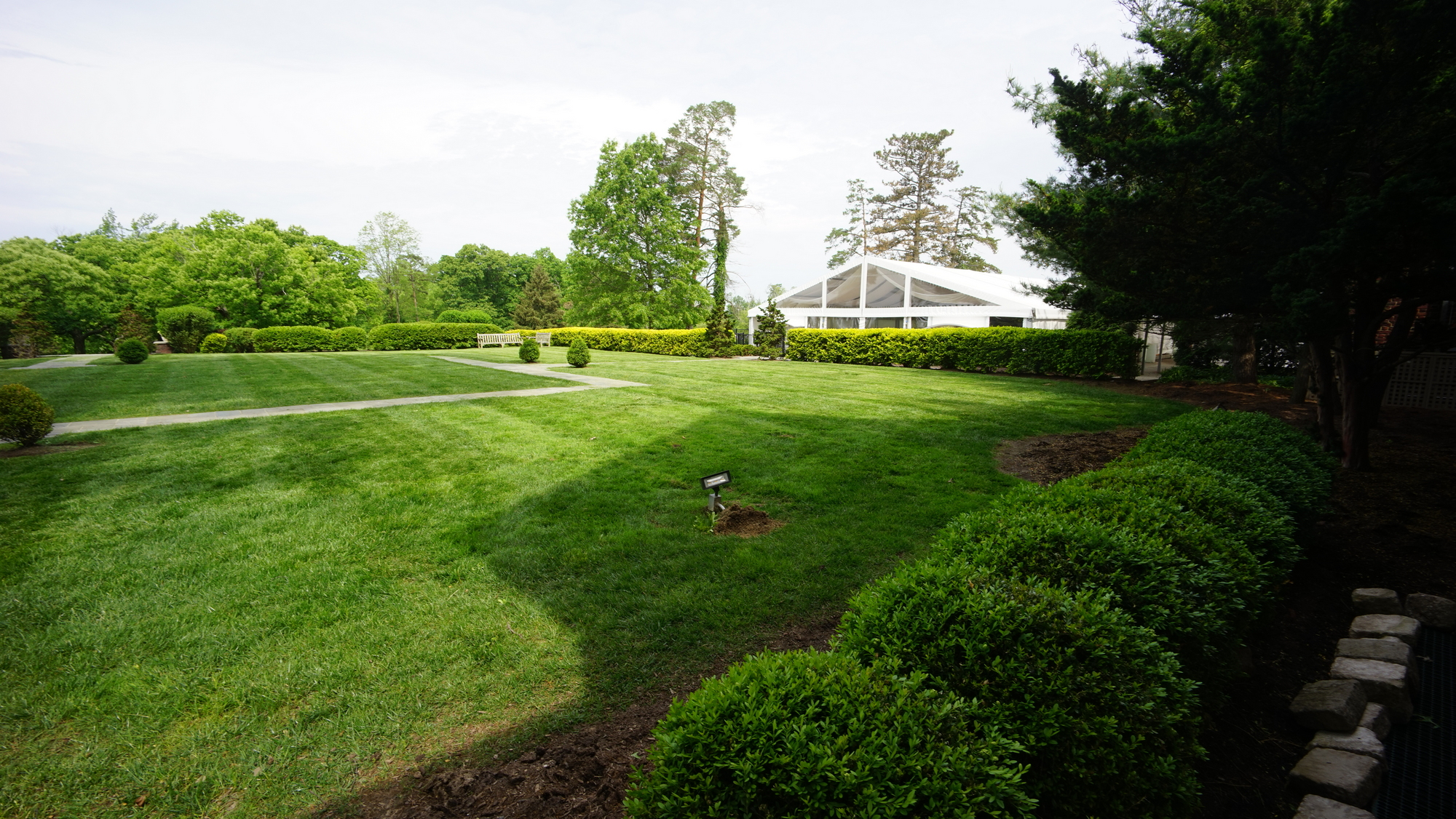 Green lawn with neatly trimmed bushes, trees, and a white building in the background.