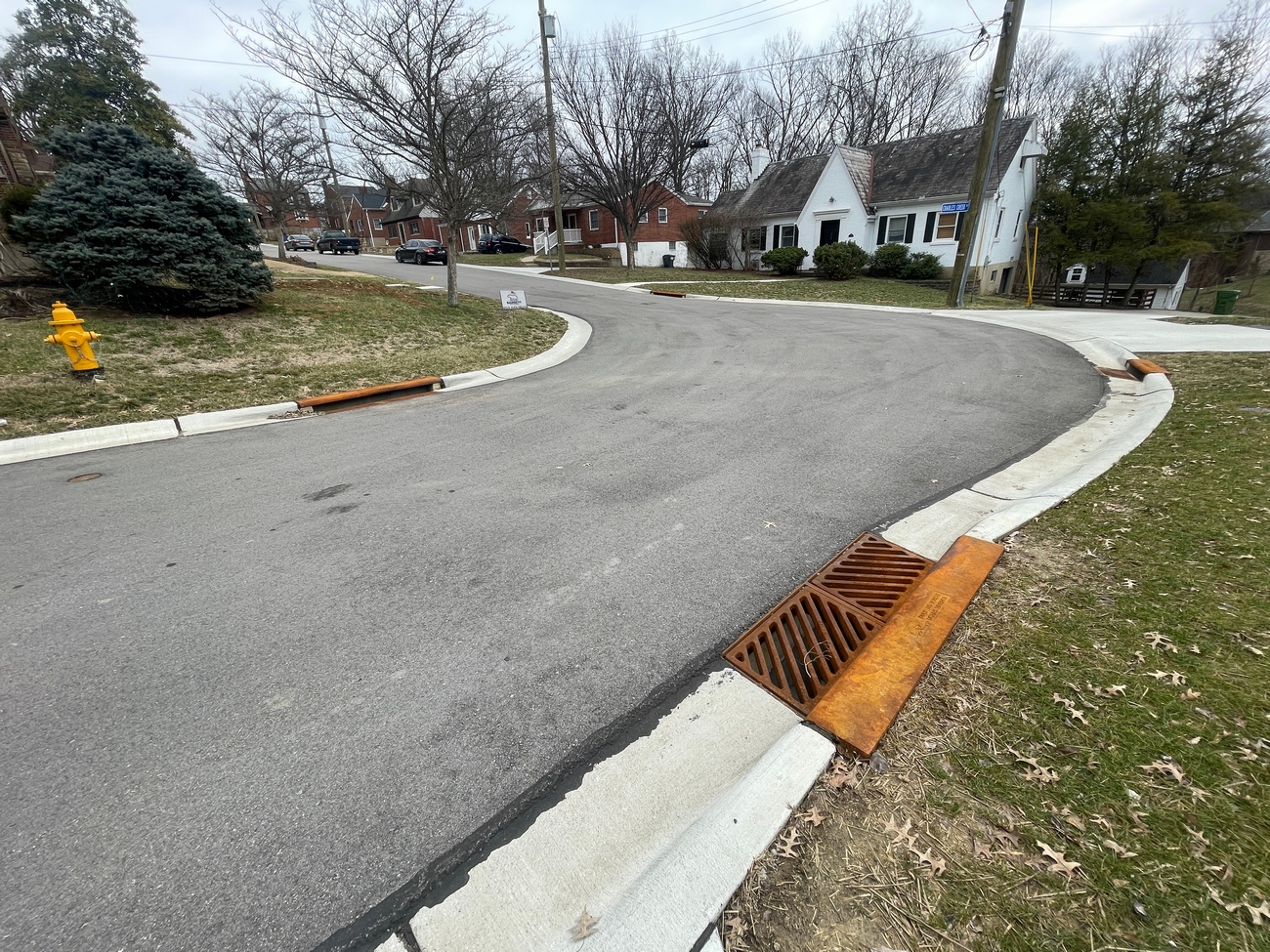 Neighborhood street curve with gray sky and barren trees.