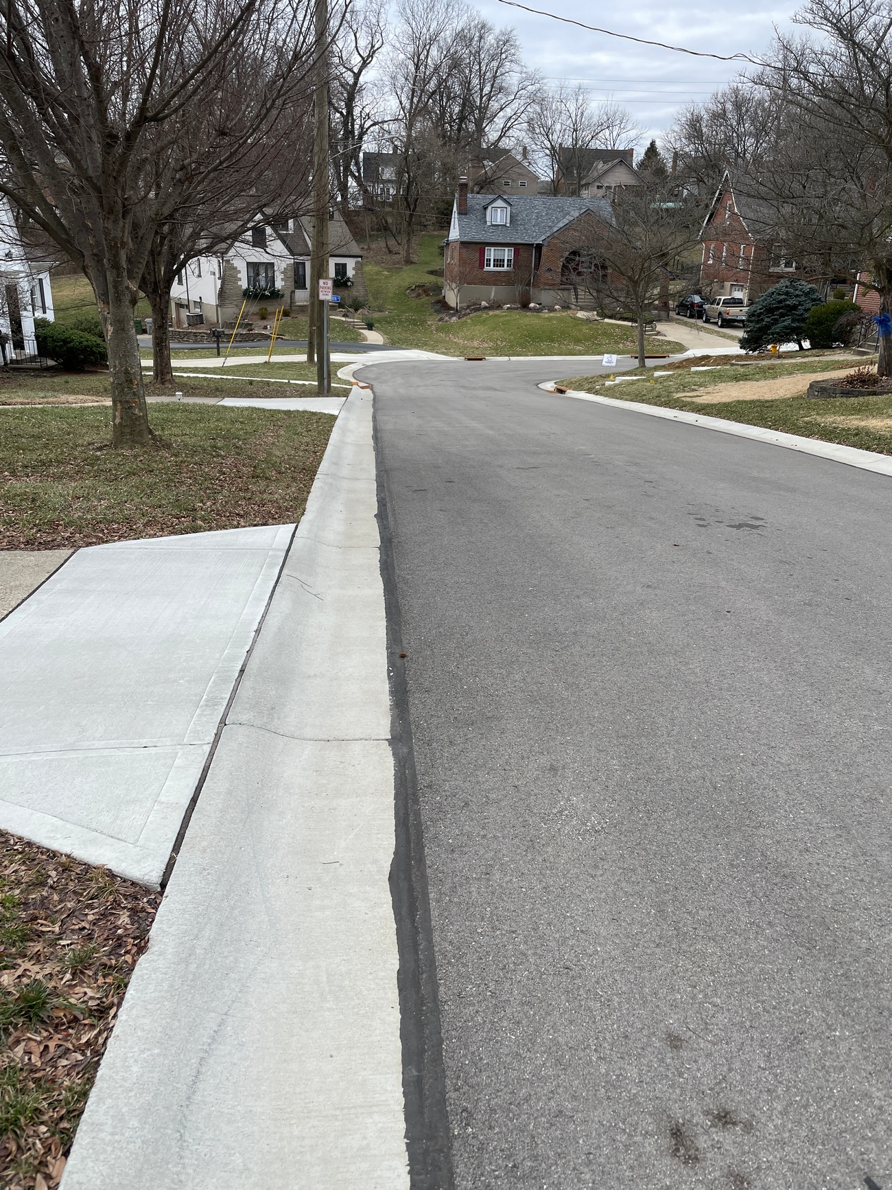 Curving suburban street lined with houses and bare trees.