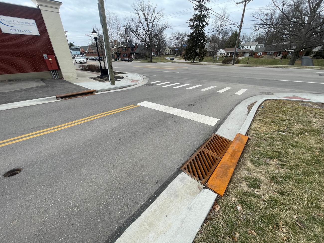 Street corner with crosswalk, storm drain, and grassy area. Overcast sky.
