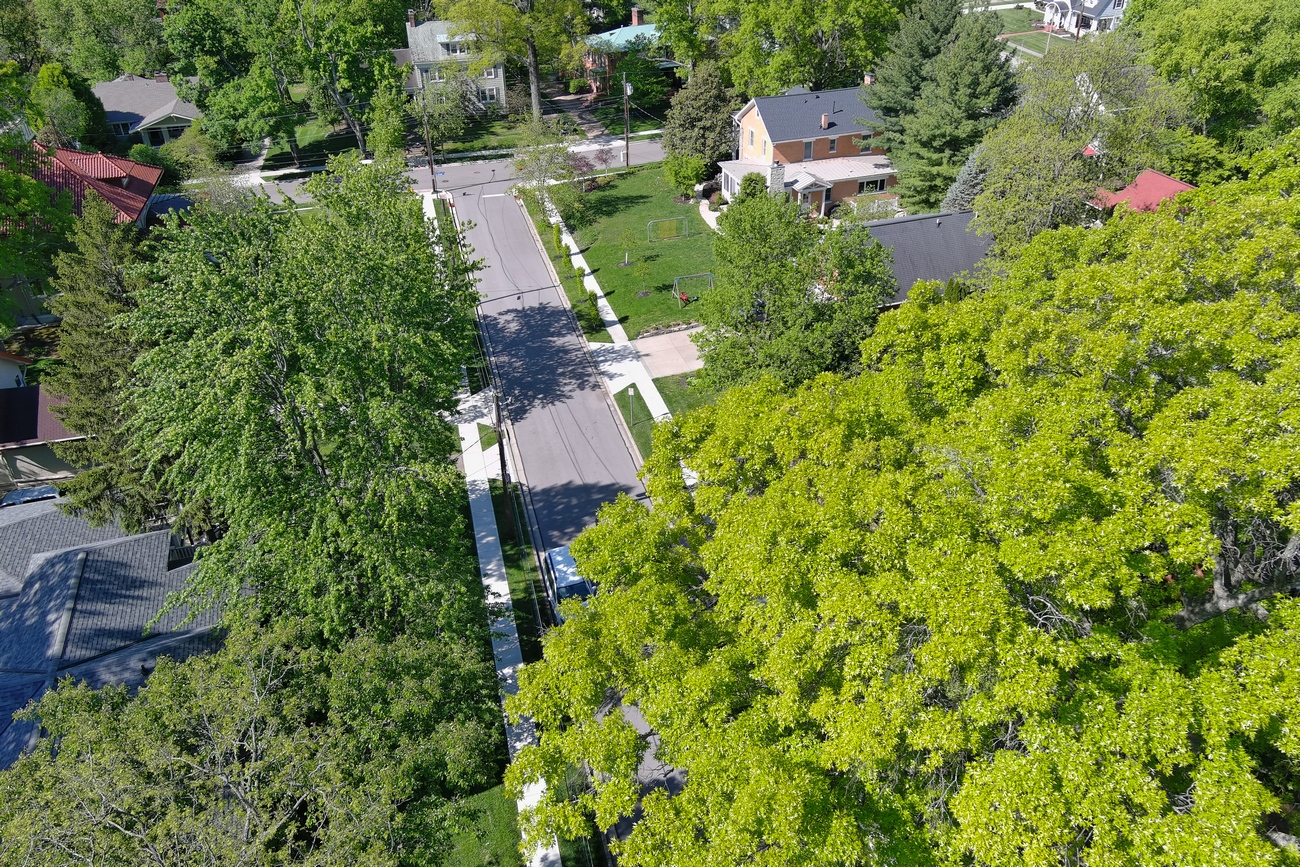 Aerial view of a leafy suburban street with houses and trees.