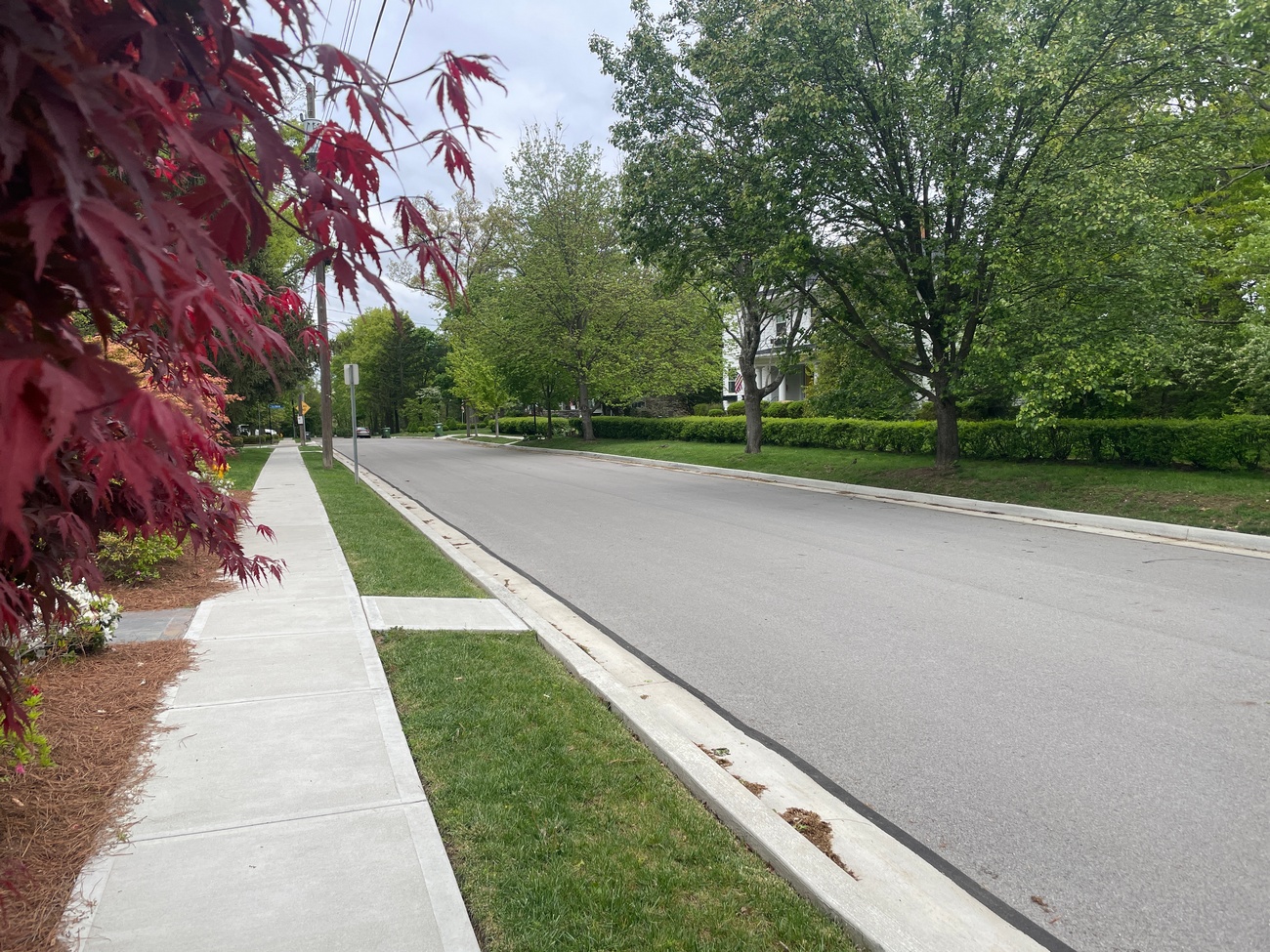 Quiet suburban street with lush green trees and red foliage.