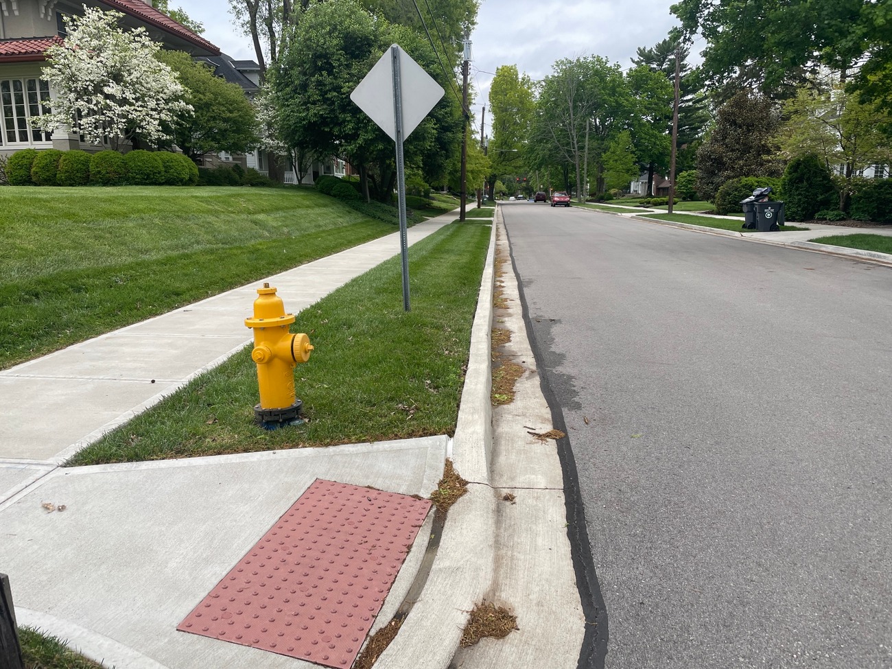 Suburban street with sidewalk, yellow fire hydrant, and trees.
