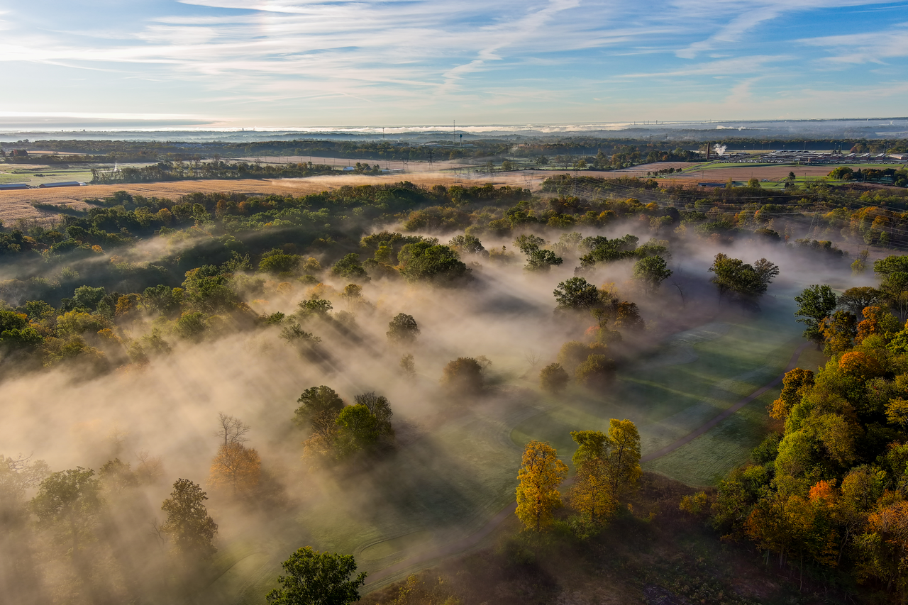 Aerial view of a misty forest at sunrise, with sunlight casting long shadows.