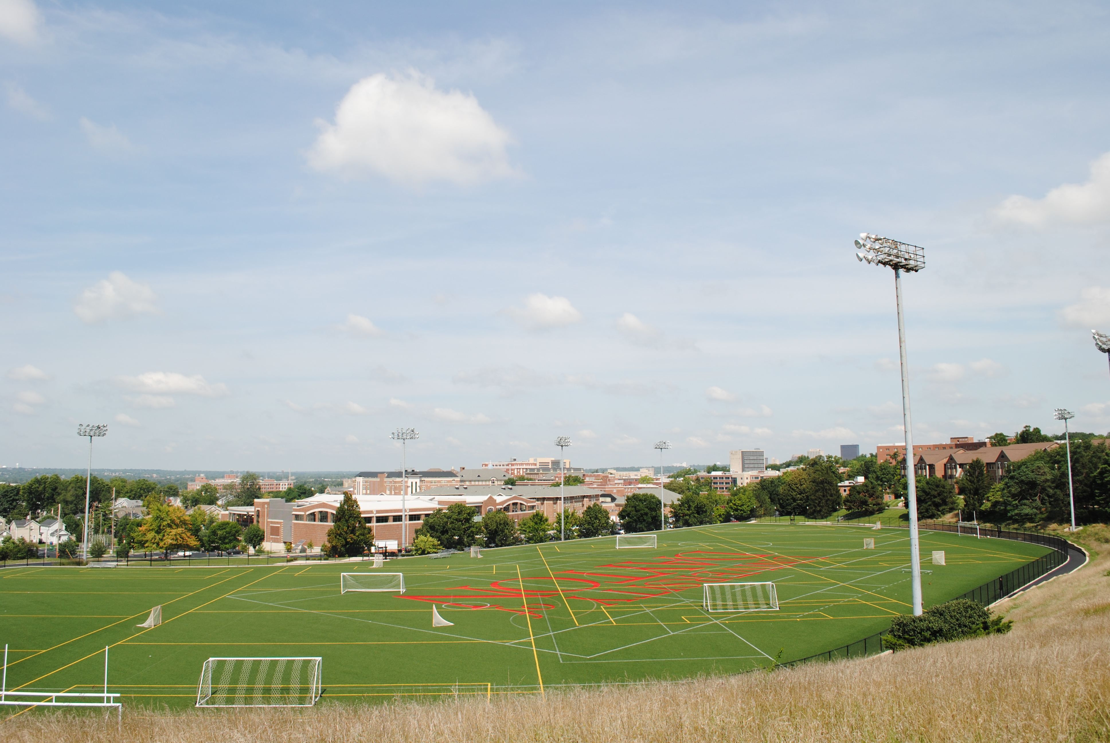Large outdoor soccer field on a sunny day with distant buildings.