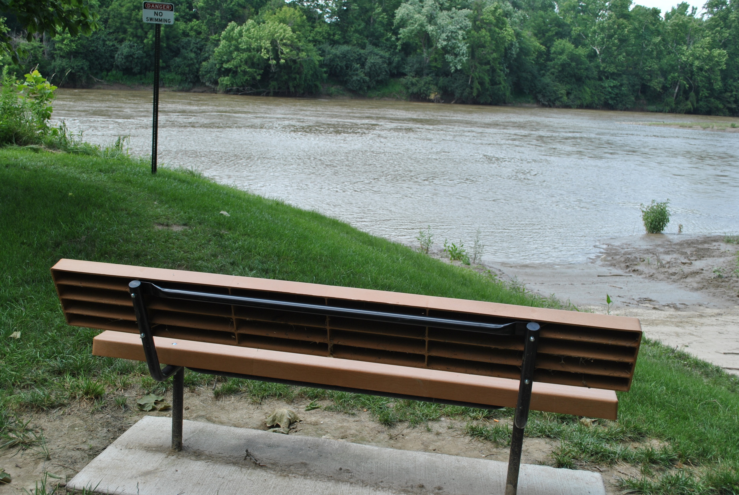 Bench facing a river, surrounded by grass and trees.