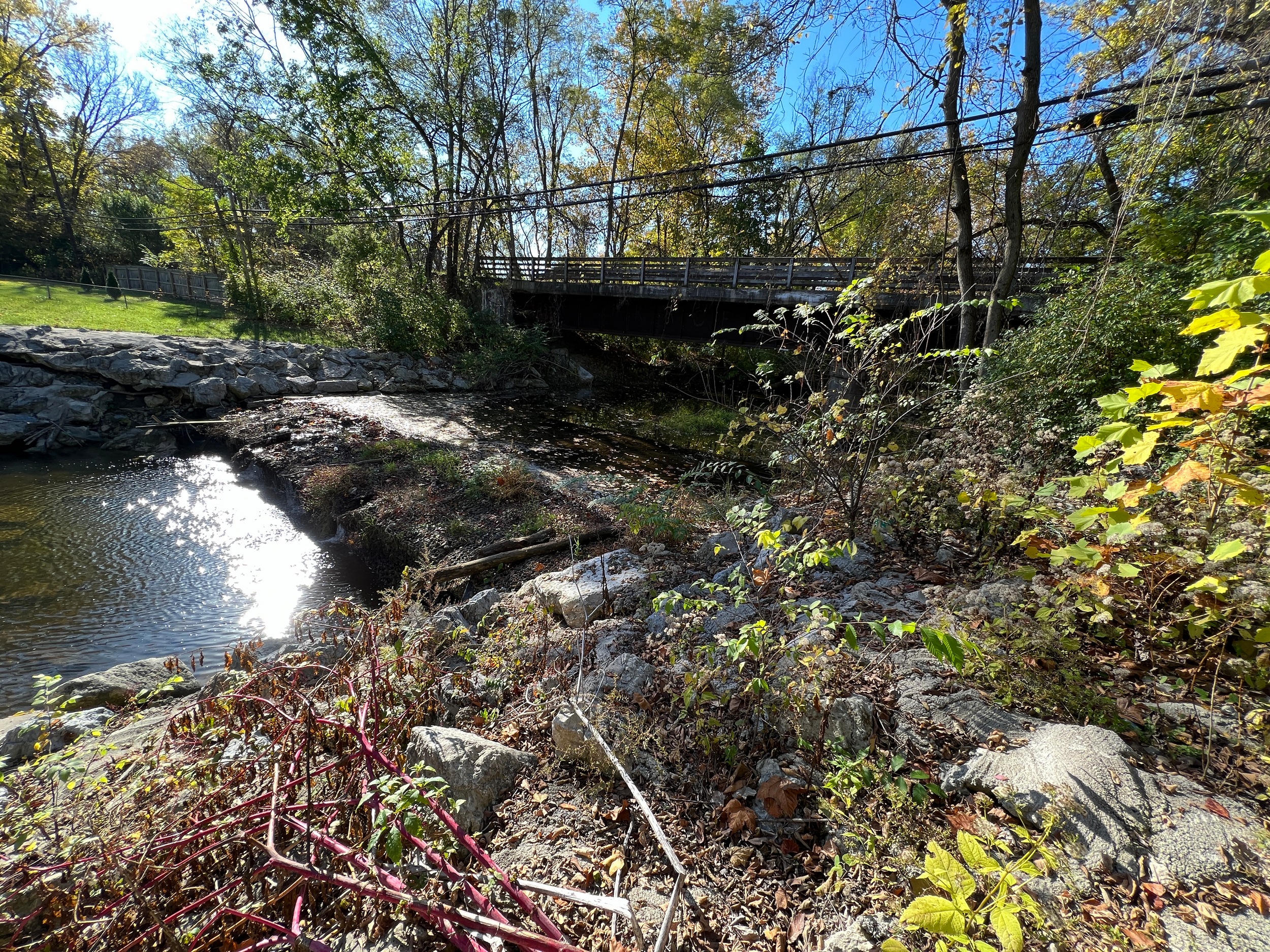 Riverbank with lush foliage and a wooden bridge under a clear blue sky.