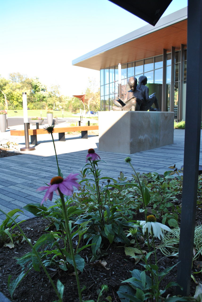 Purple coneflowers in a garden, modern building with large windows in the background.